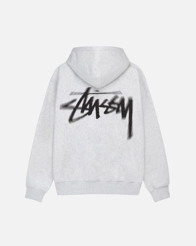 Felpa con cappuccio Dizzy Stussy – Grigio